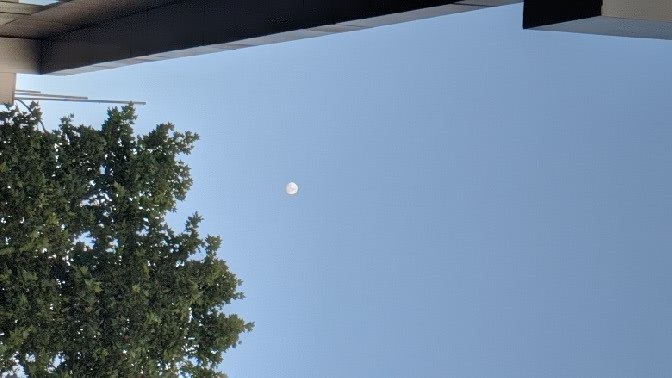 Luna lunera