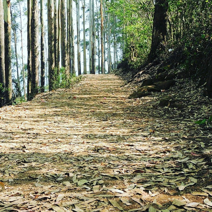 A high hill road