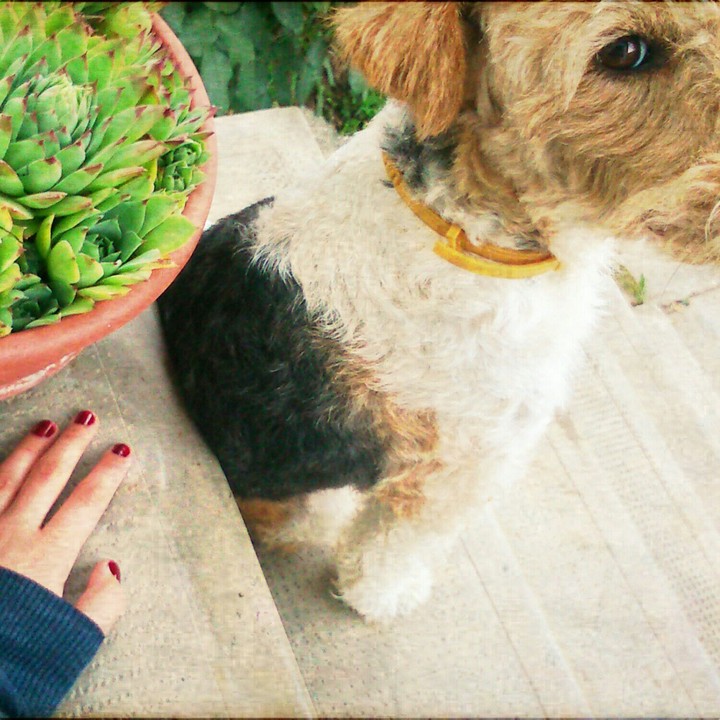 My Molly €: