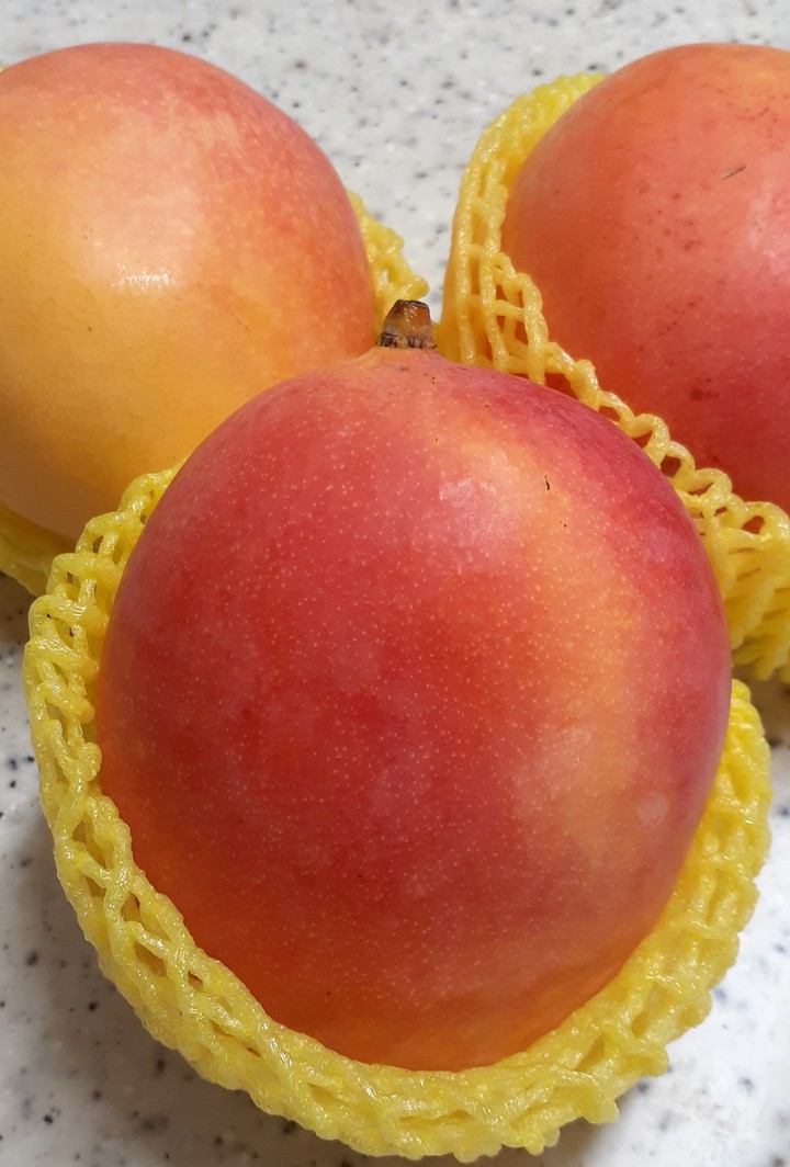 mango