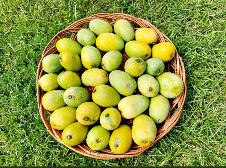 Mango