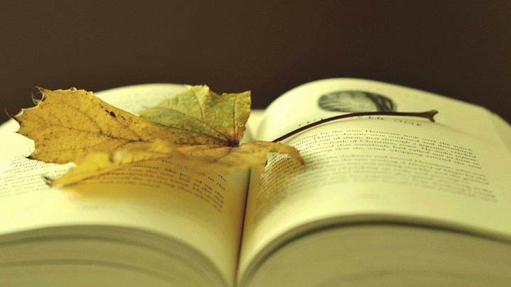 книга