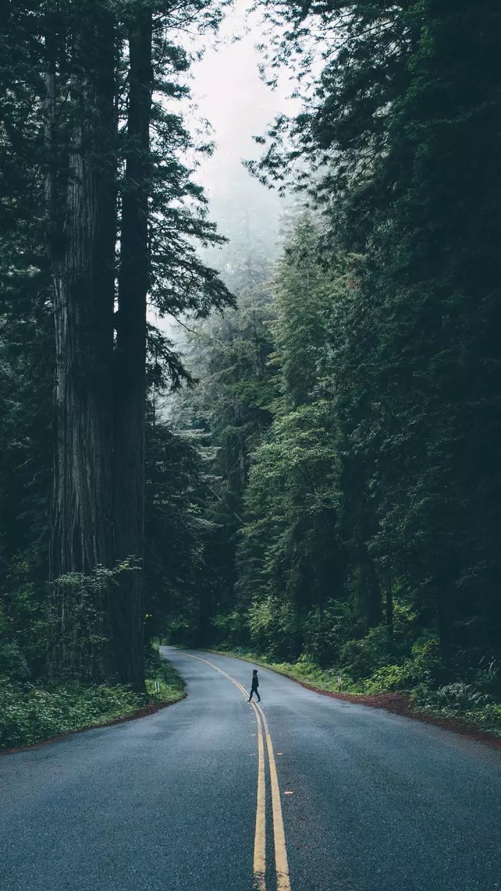 Road