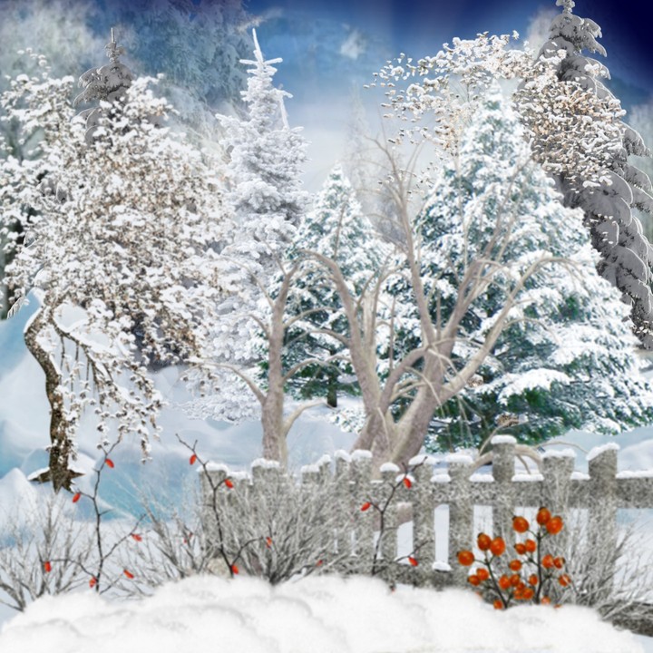 Winterlandschaft