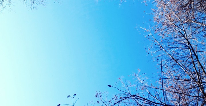 a piece of sky