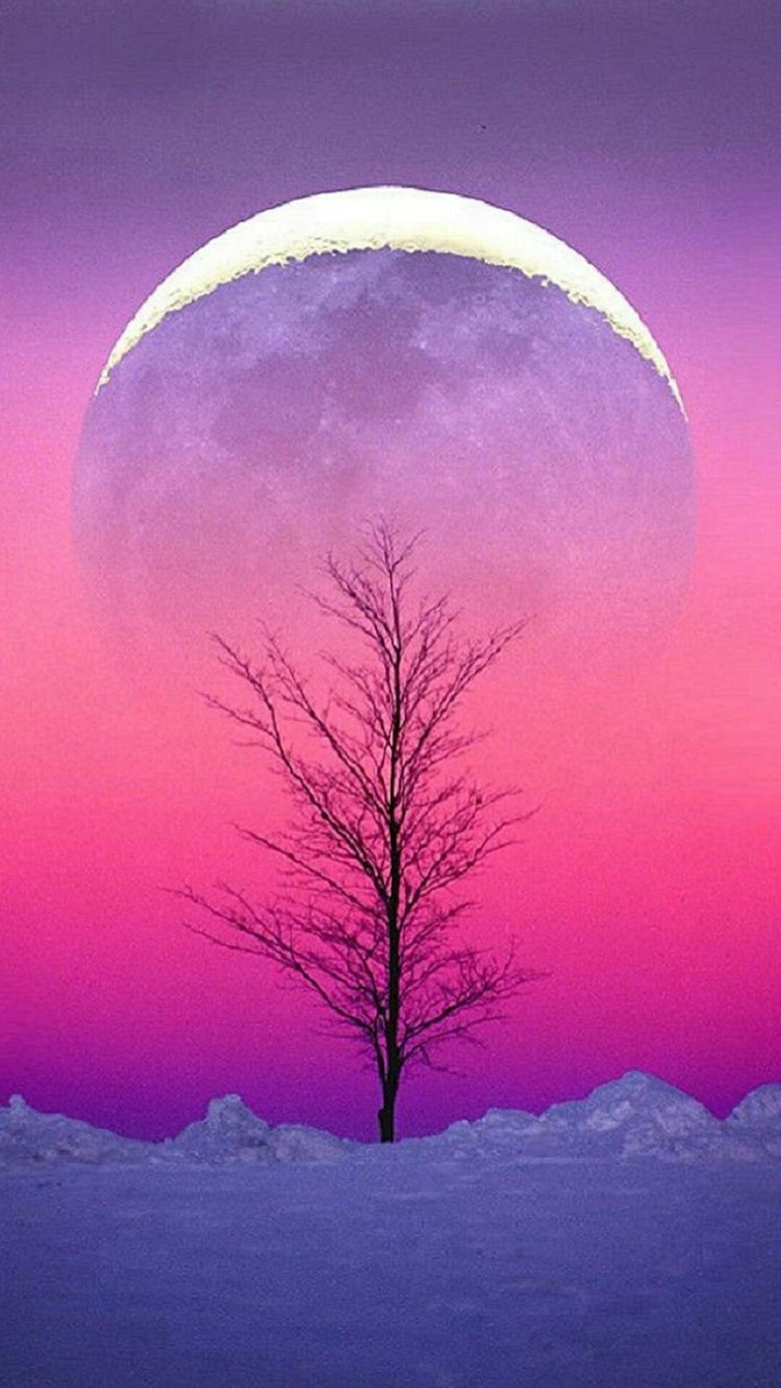 Pure Aesthetic Cold Sky View
