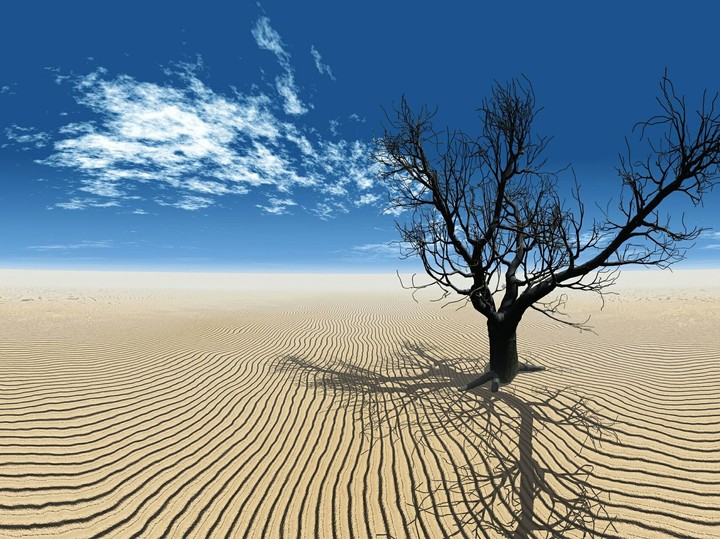 Desert
