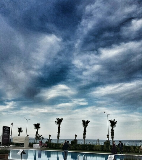 tapety sky, palme