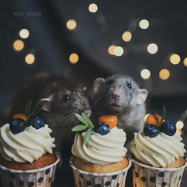 ~