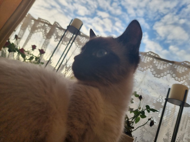 friend