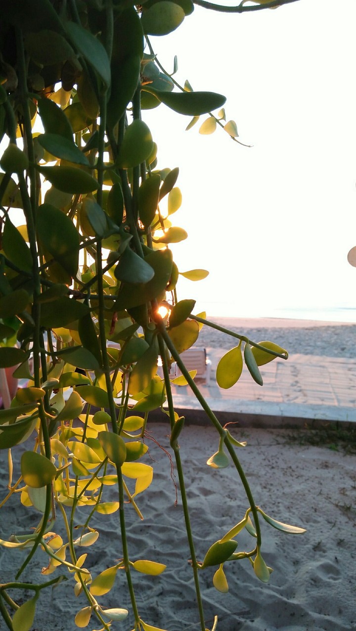 sunrise
