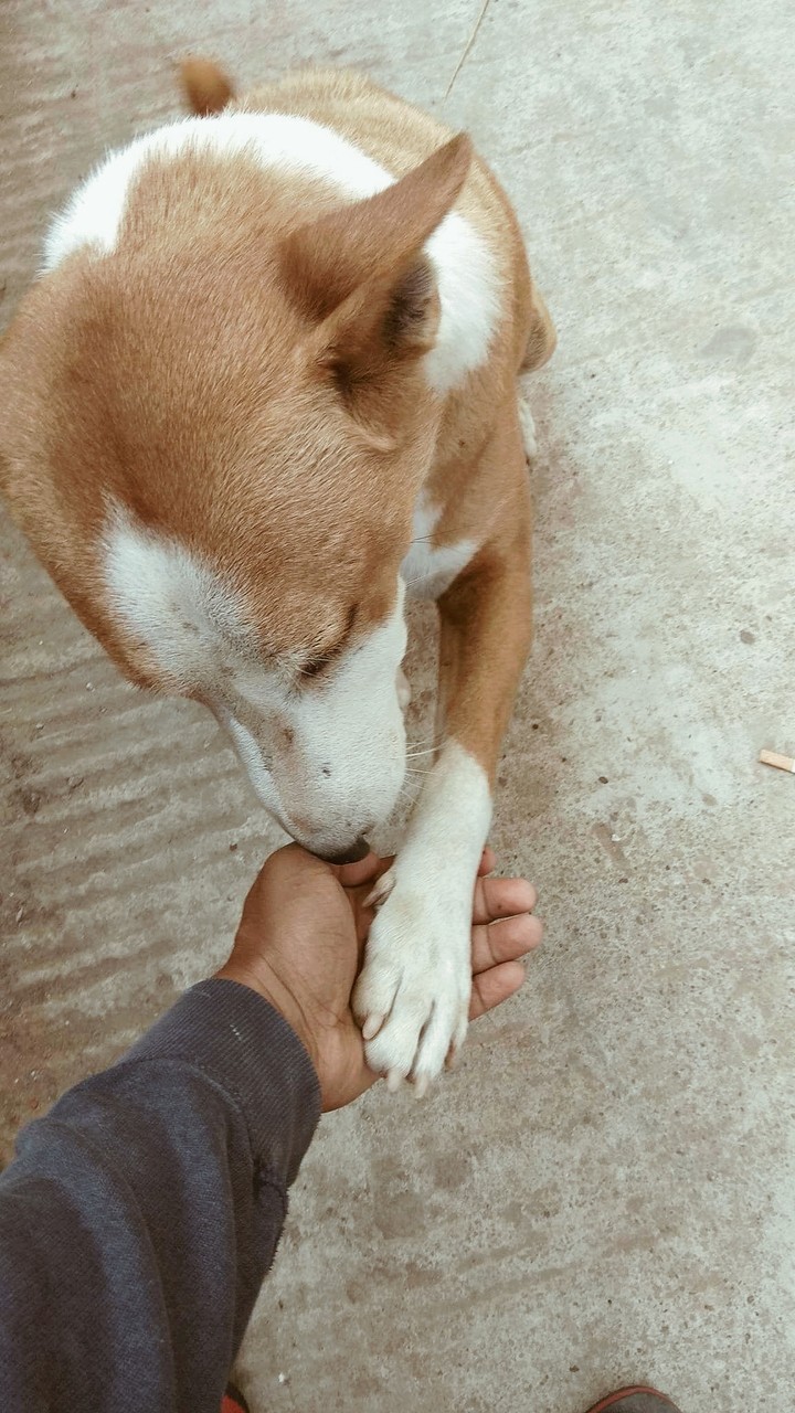 my love
