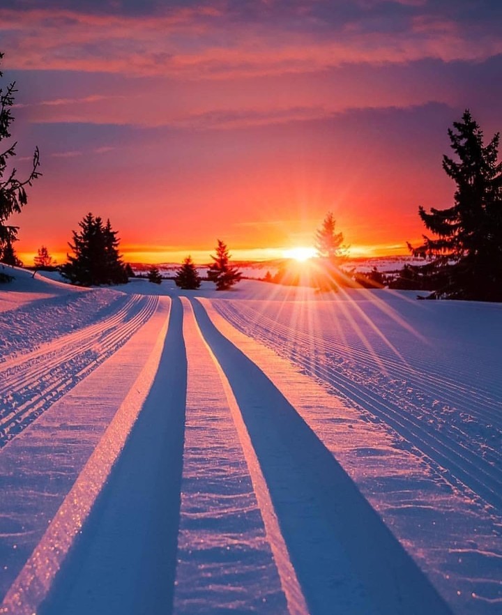 Walking to the light...