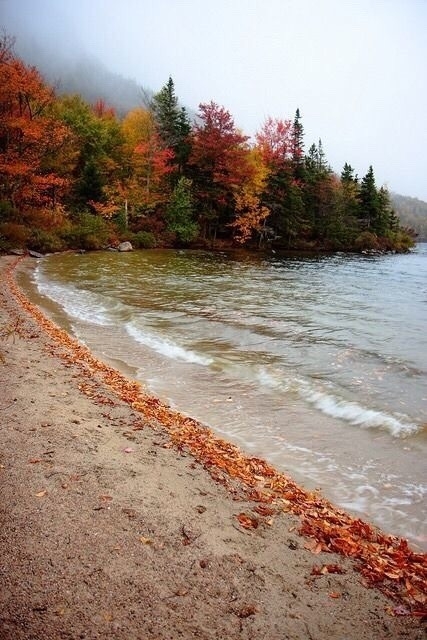 Autumn