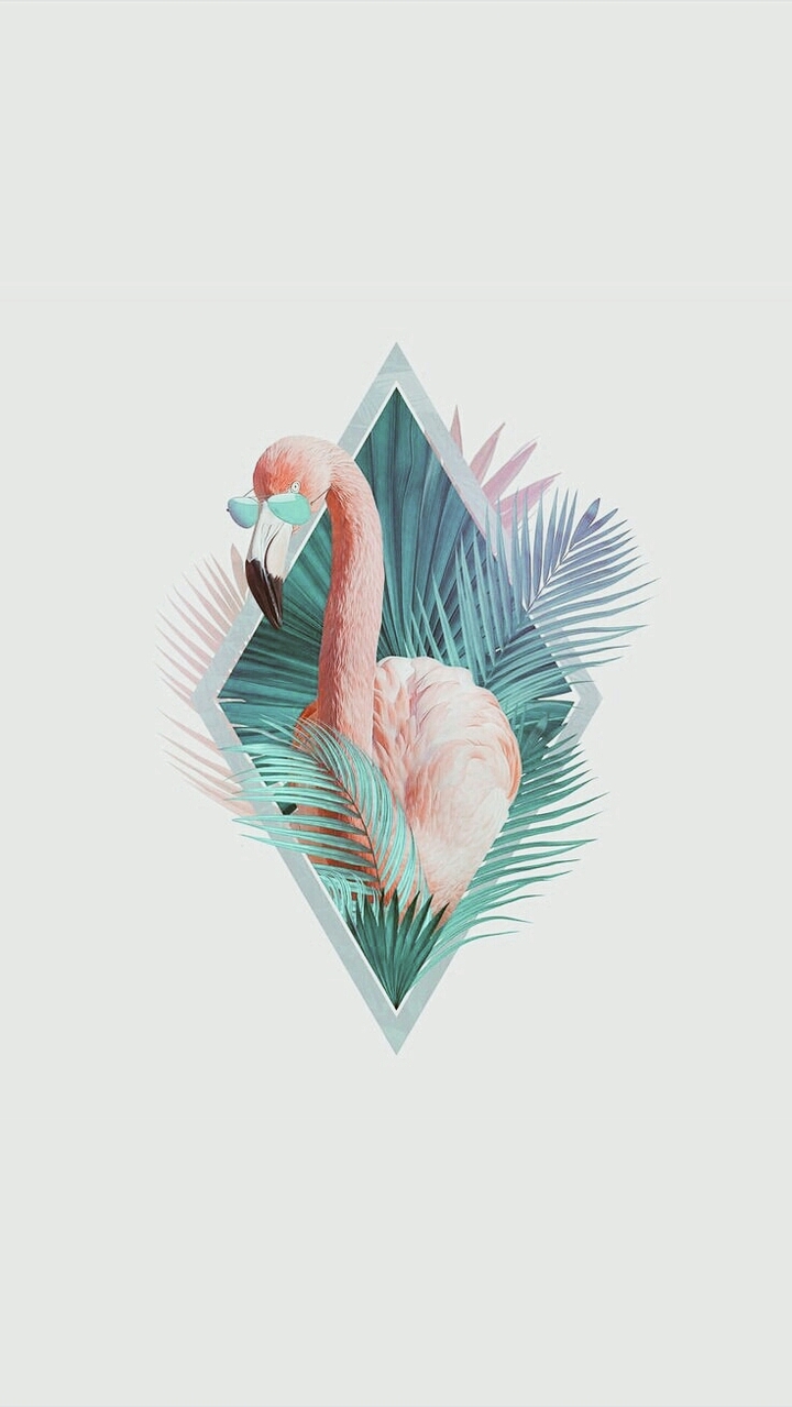 flamingo
