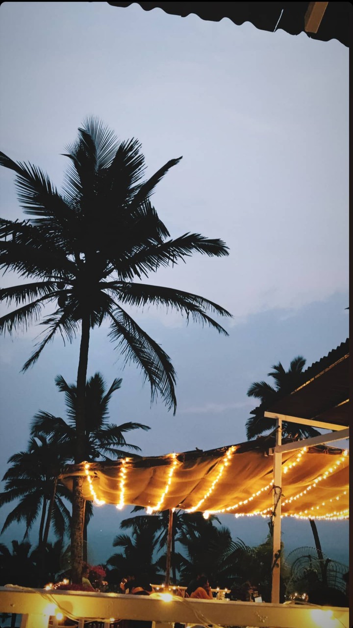 diwali lights