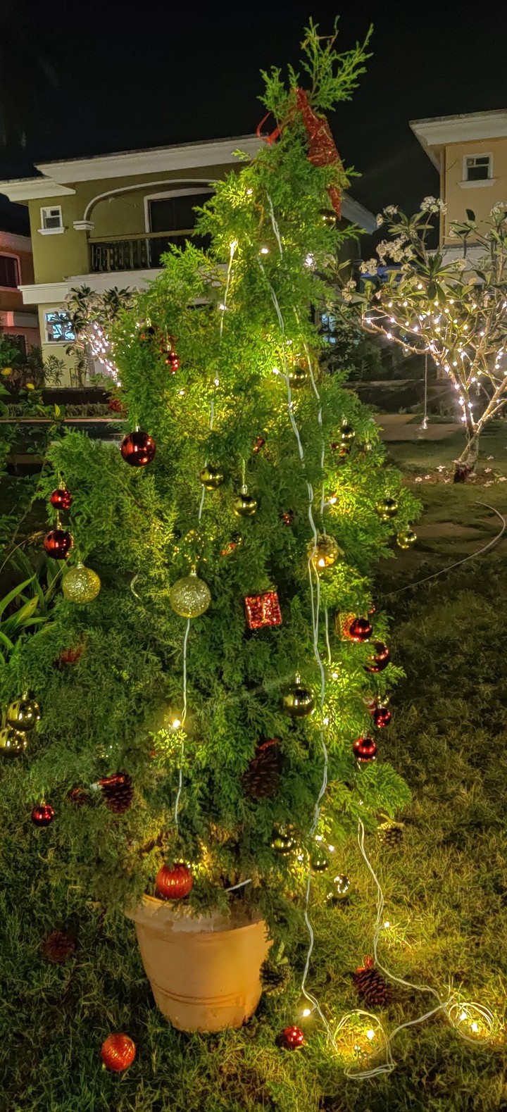 Christmas Tree