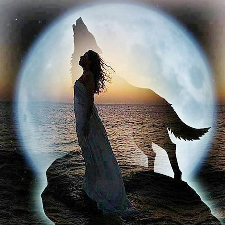 human and wolves for LIFE
