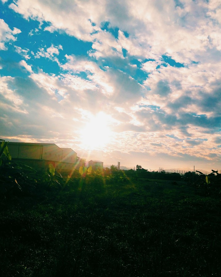 sunny day
