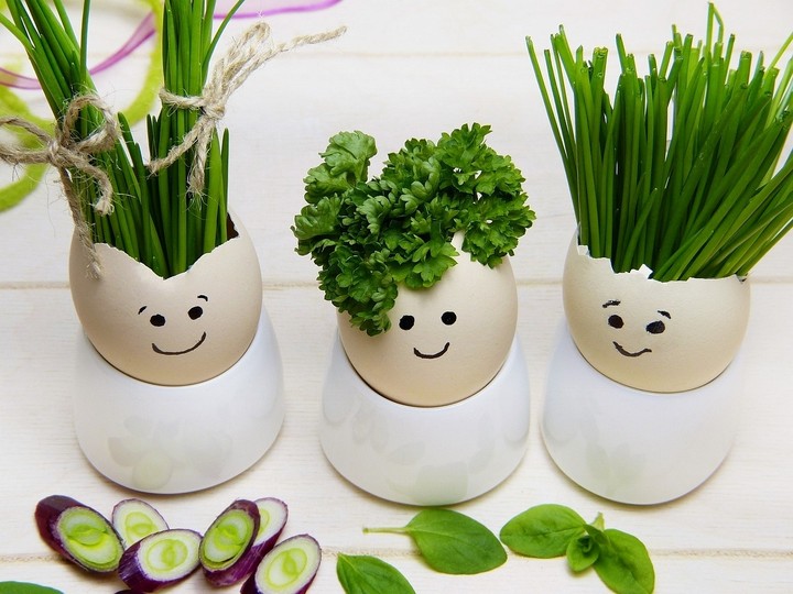 ☺️☘️☺️