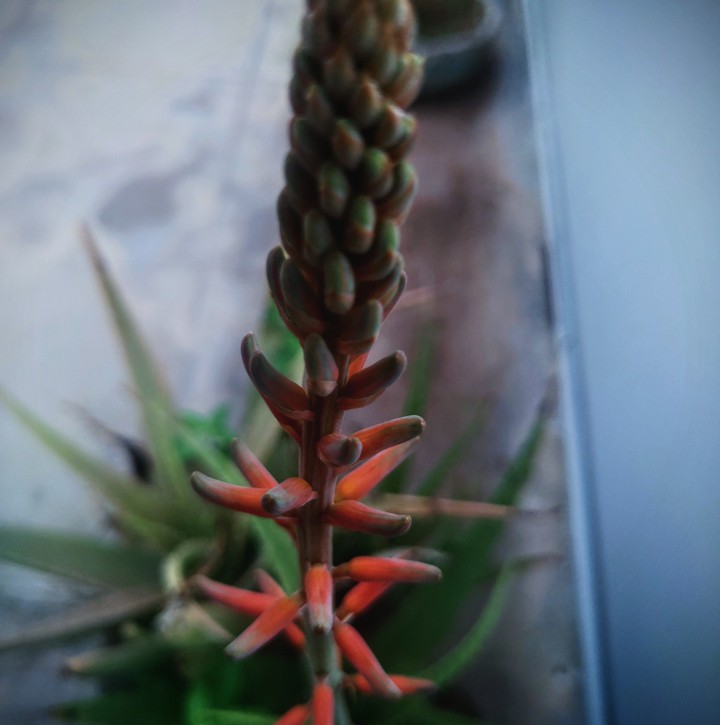 #nature #lover