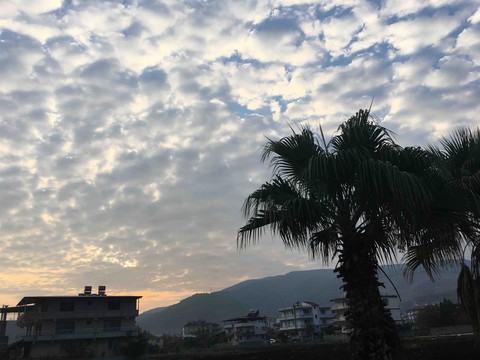 Sky