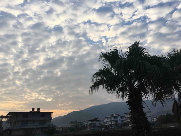 Sky