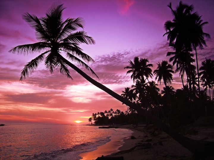 Nature's Beauty
