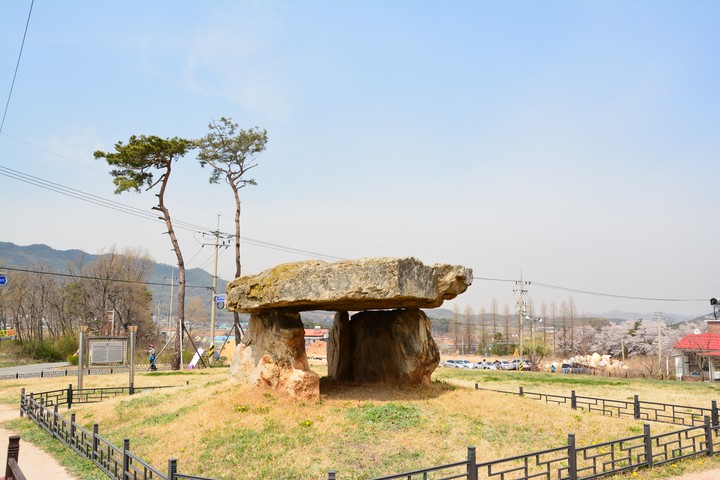 고려산의봄이미지