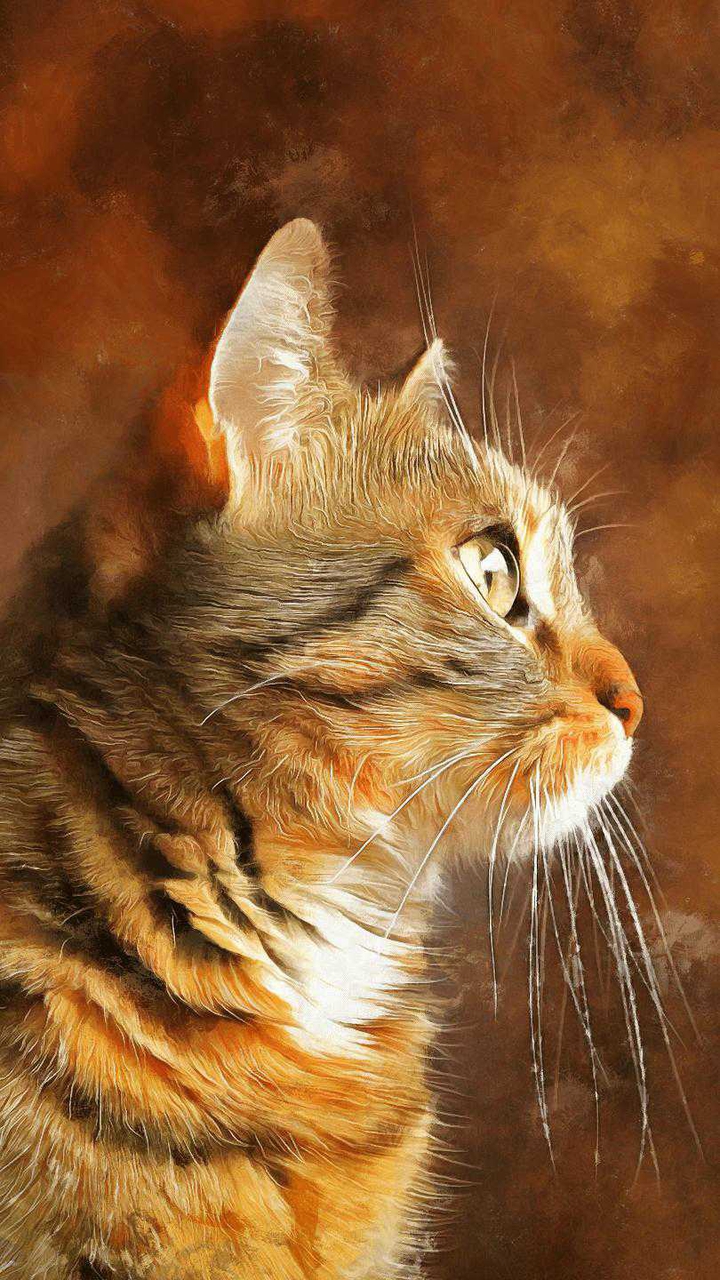 cãt