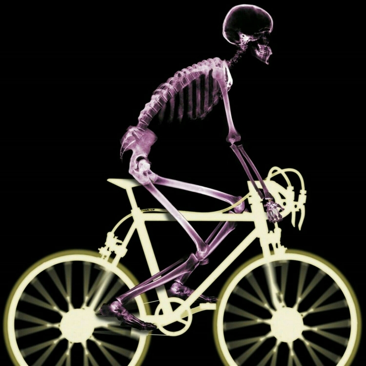 Funny skeleton riding