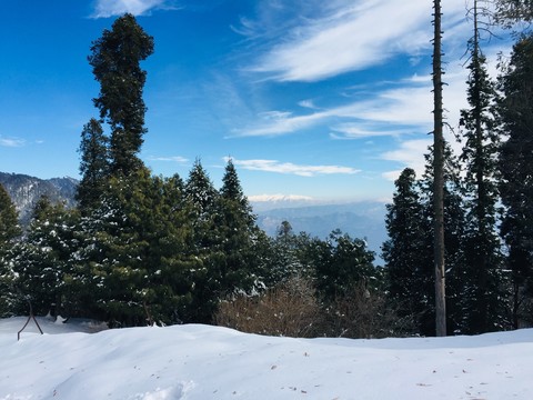 Winter