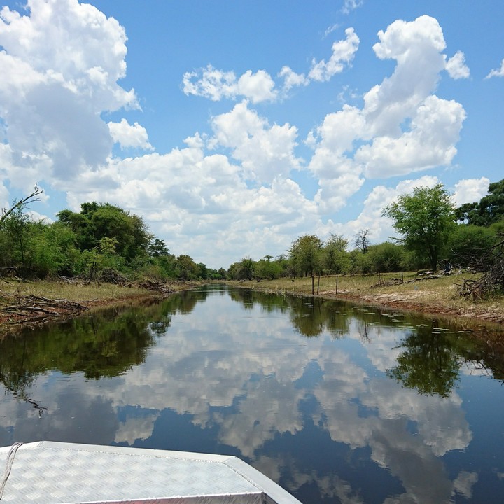 Blissful Africa
