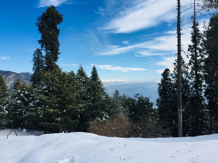 Winter