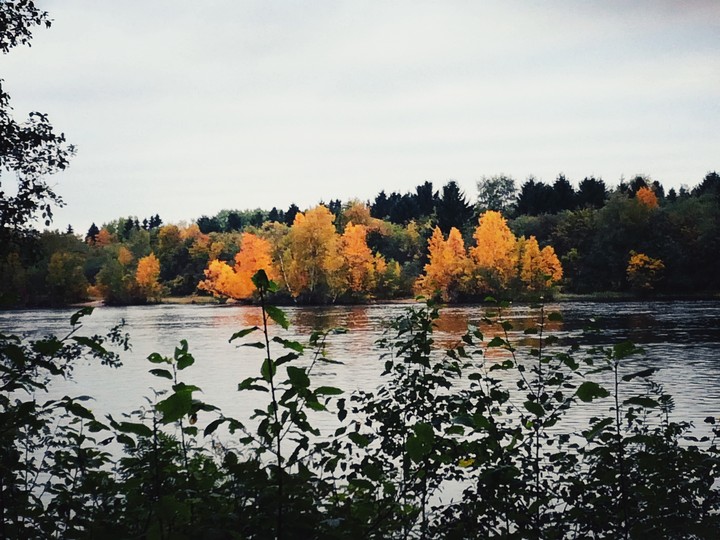 Autumn