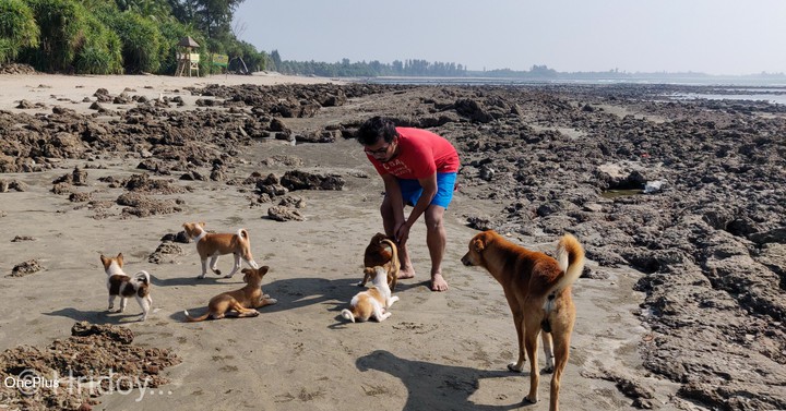 Me and some little doggo students.╮(╯▽╰)╭. (2019 batch)