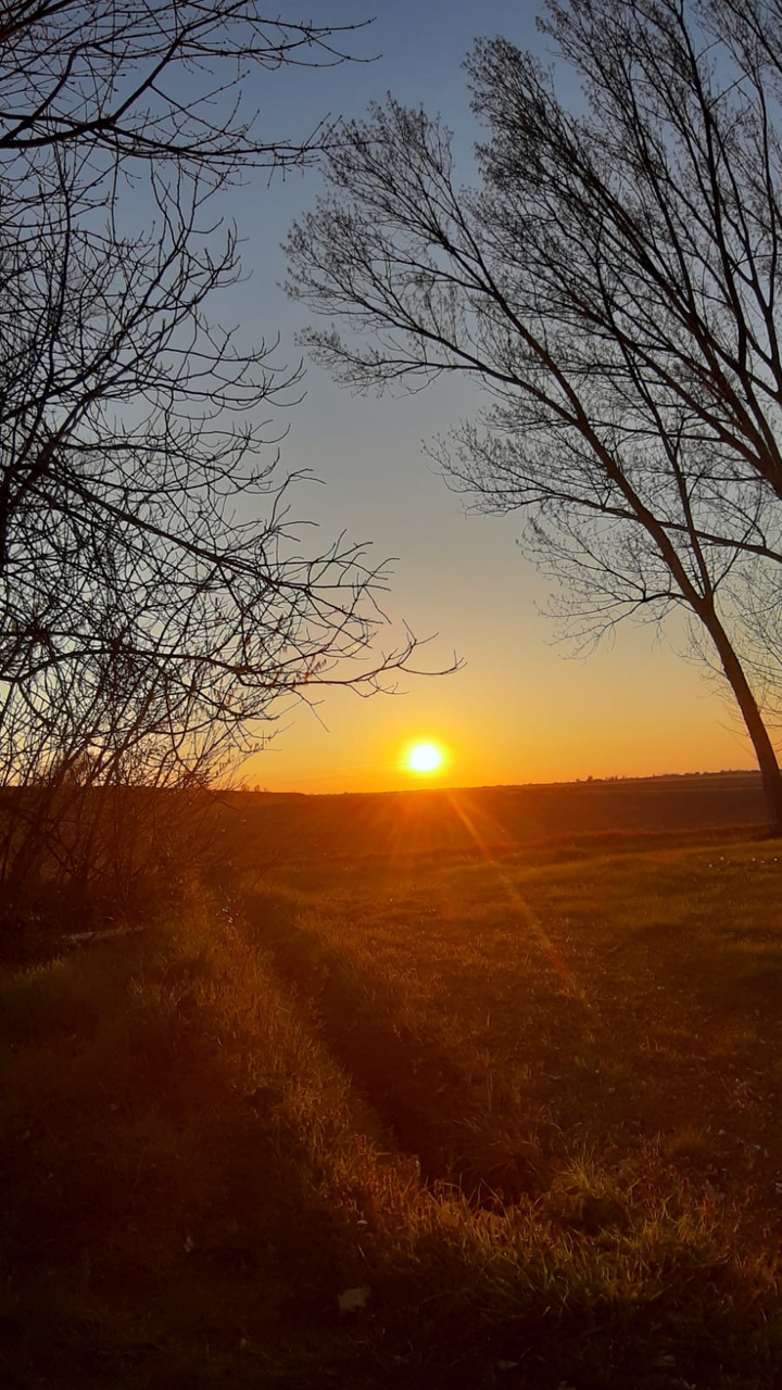 by by Sun