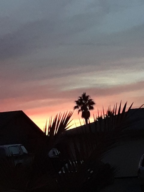 sunset