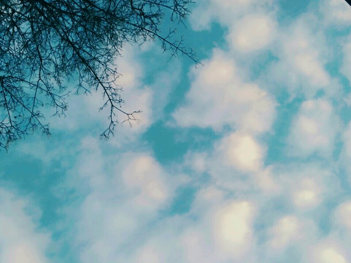 Winter sky