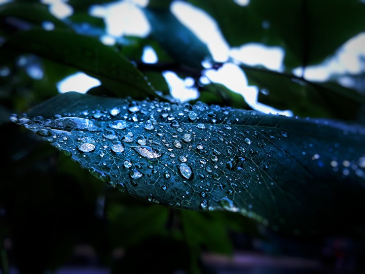 trip_00_graphy