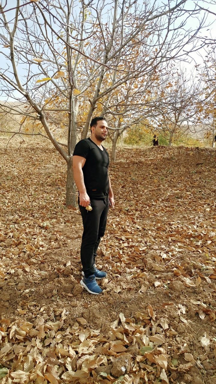 پاییز