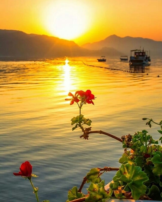 Muğla, Turkey