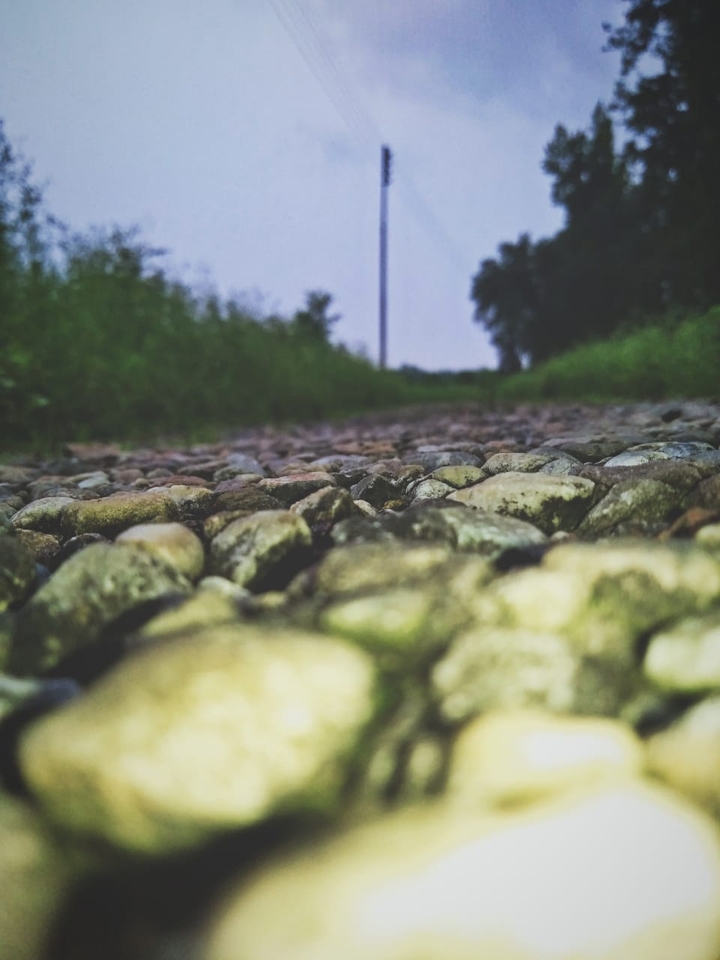 RoadNotTaken