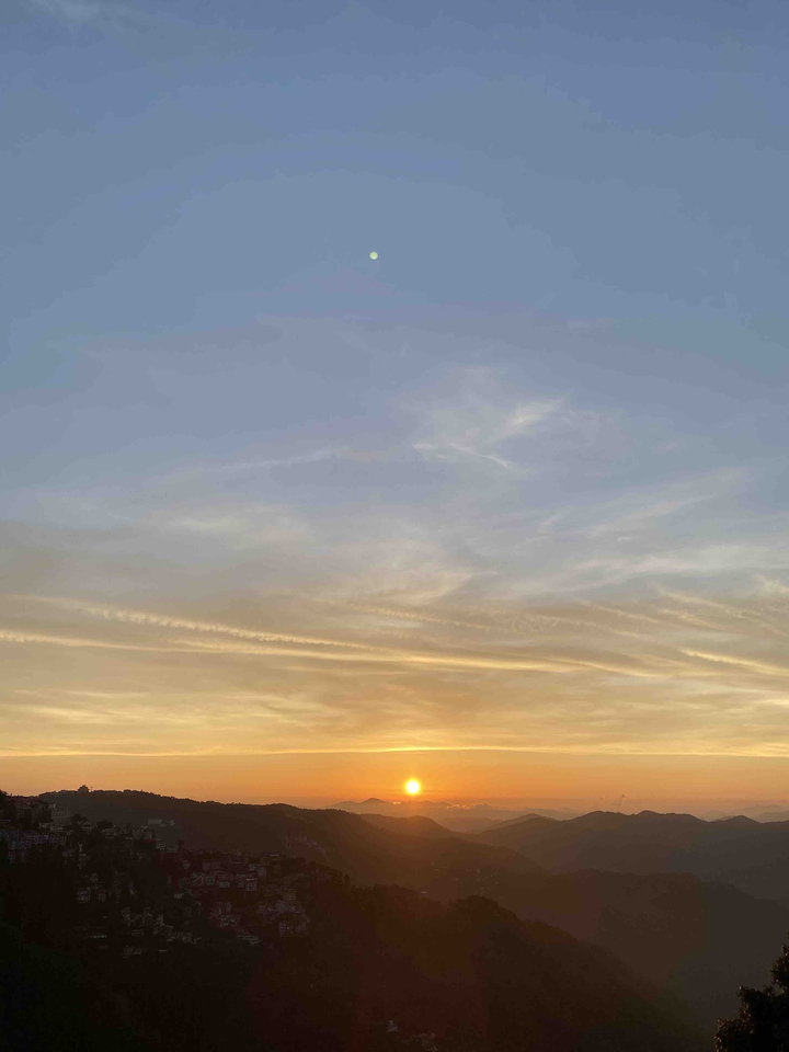 Shimla Dairy