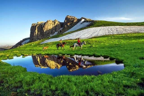 ecoregion, grassland壁紙