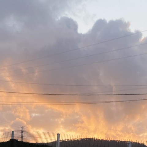 רקעים sunlight, nature