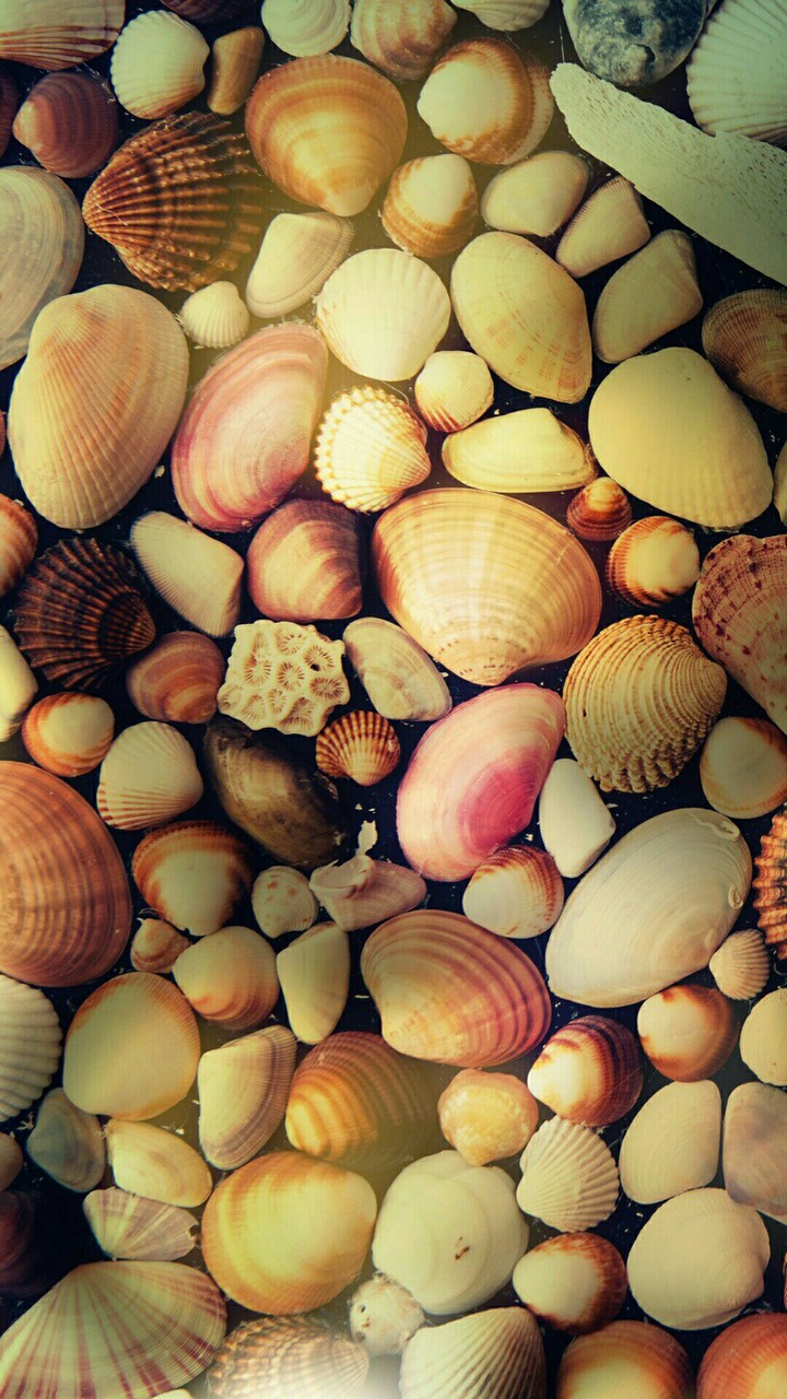 underwater