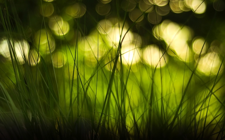. nature.