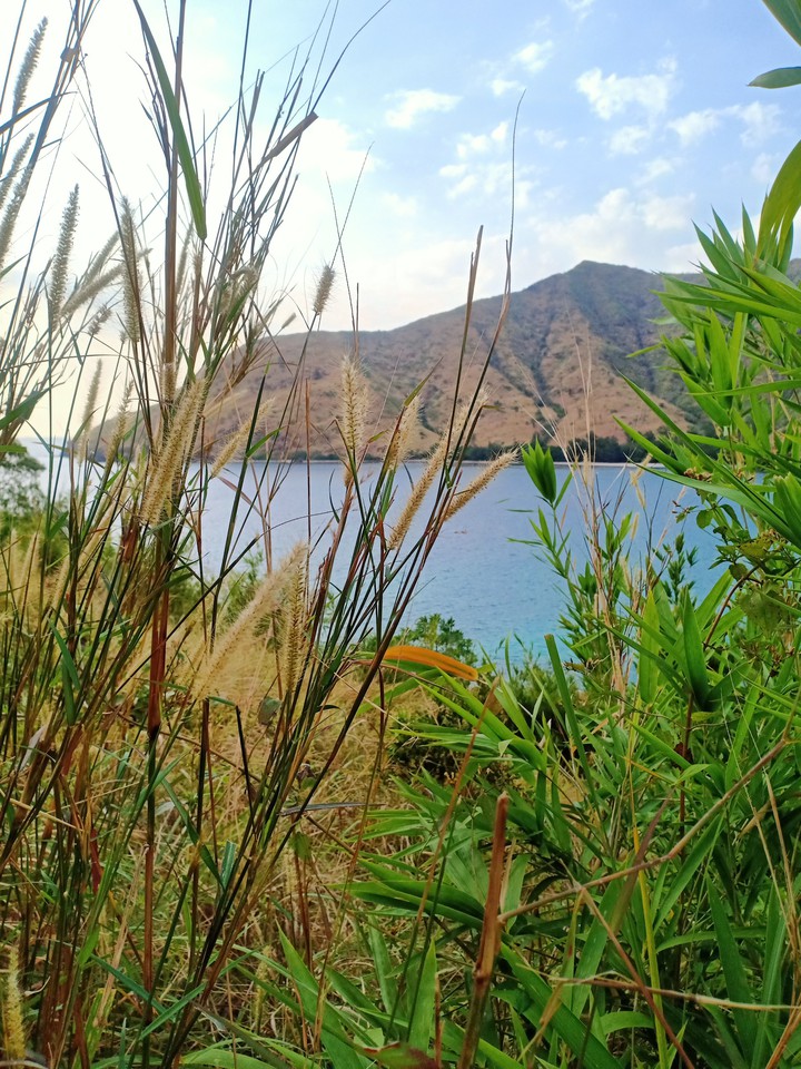 nature