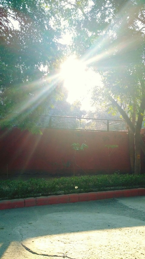 sunshine